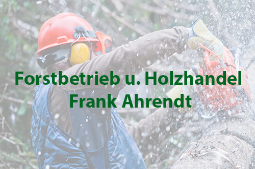Forex gmbh & co. forstmaschinen vertriebs kg