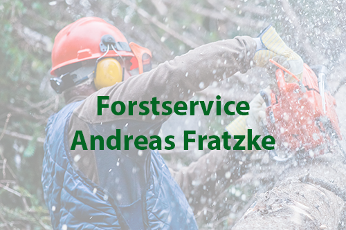 Forex gmbh & co. forstmaschinen vertriebs kg