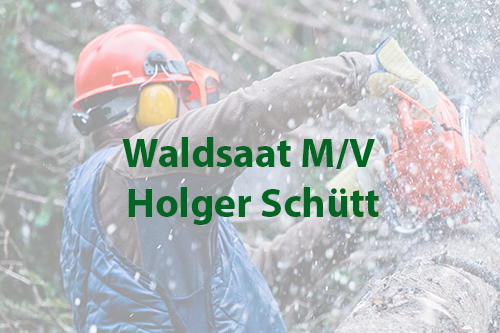 Waldsaat M/V Holger Schütt