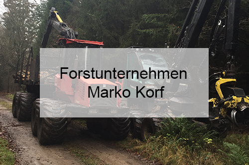 Forex gmbh & co. forstmaschinen vertriebs kg