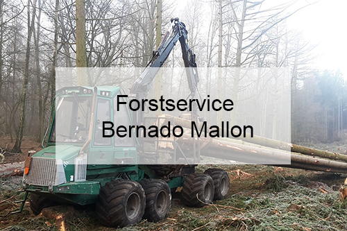 Forstservice Bernado Mallon