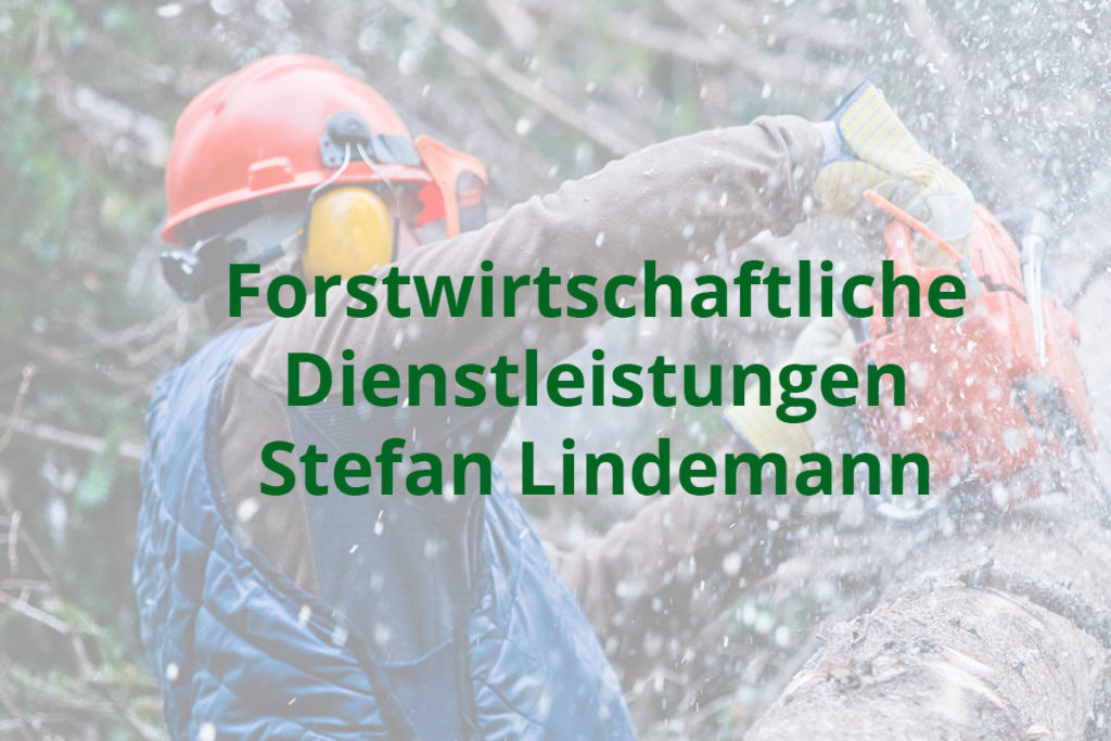 Forstwirtschaftliche Dienstleistungen Stefan Lindemann